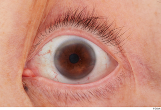 HD Eyes Zana Kadziwa eye eye texture eyelash iris pupil…